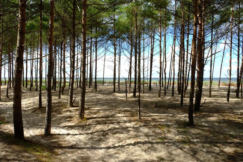 Dwor W Bychowie Gniewino Bagian luar foto