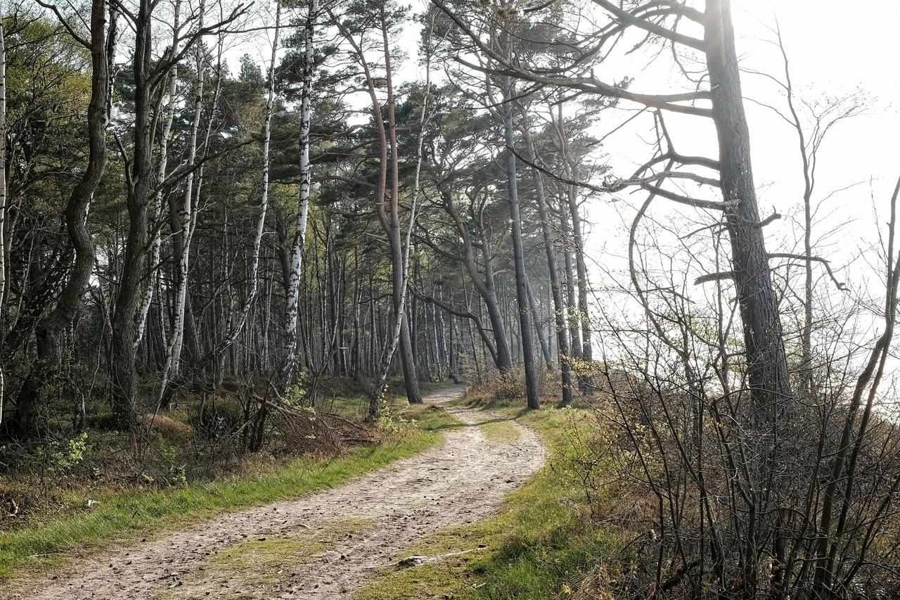 Dwor W Bychowie Gniewino Bagian luar foto